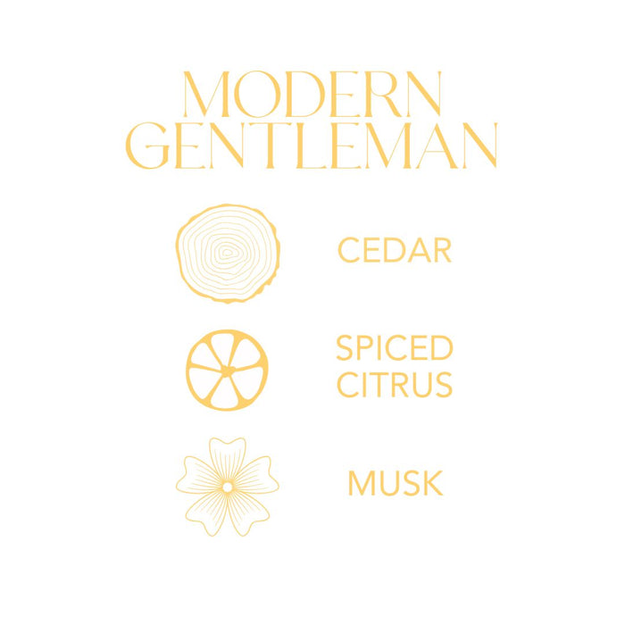 Modern Gentleman Infographic