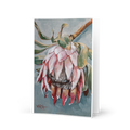 Pale Pink Beauty | Greeting Card