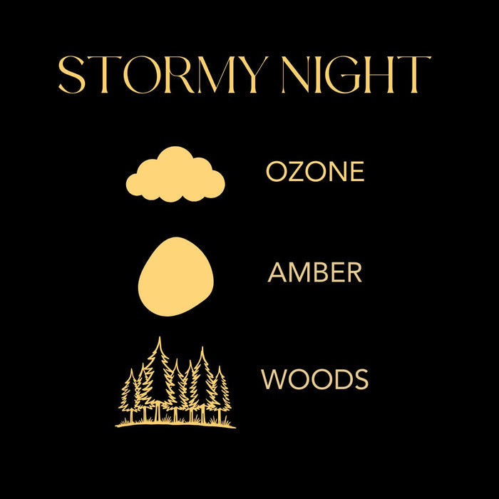 Stormy Night Infographic