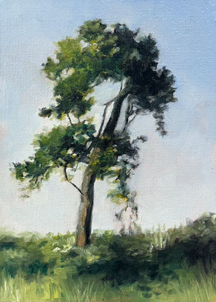 Whitney Guymon, Onlooker